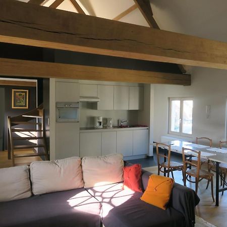 B&B / Studio De Druivelaar In Hartje Kluisbergen Eksteriør bilde